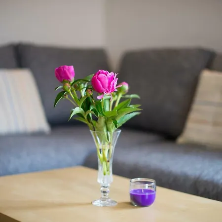 Apartament Ani *