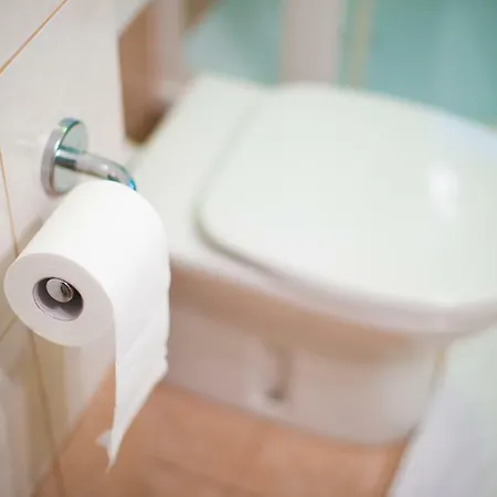 Apartament Ani
