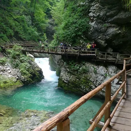 Ani Apartamento Bled